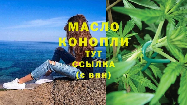 PSILOCYBIN Гатчина