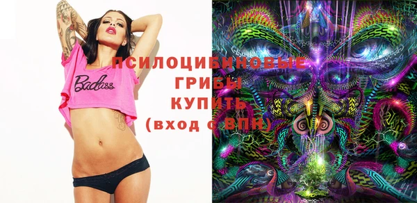 амфетамин Ельня