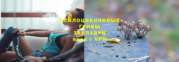 спайс Елизово