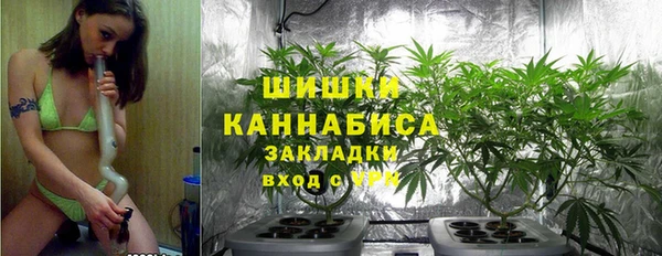 амфетамин Ельня