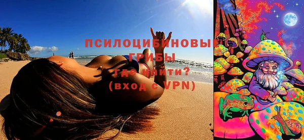 спайс Елизово
