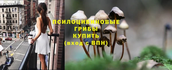 амфетамин Ельня