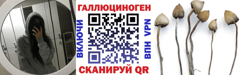 Галлюциногенные грибы ЛСД  где купить   Заринск 